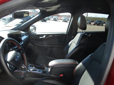 2024 Ford Escape ST-Line Elite