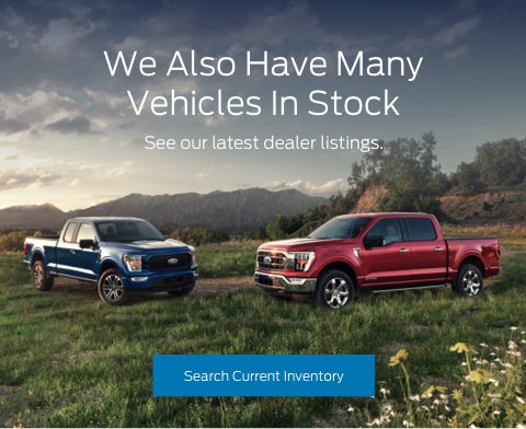 Ford vehicles in stock | Wolf Ford of Alliance in Alliance NE